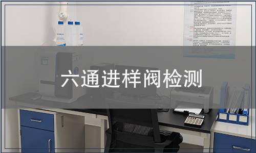 六通进样阀检测