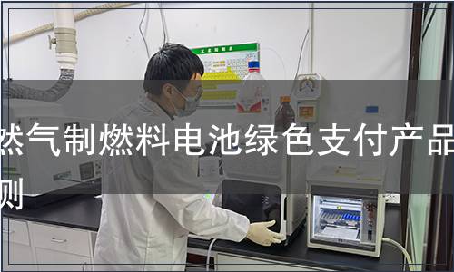 天然气制燃料电池绿色支付产品检测