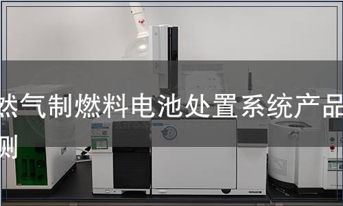 天然气制燃料电池处置系统产品检测