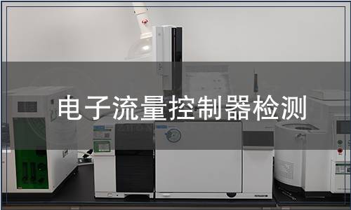 电子流量控制器检测