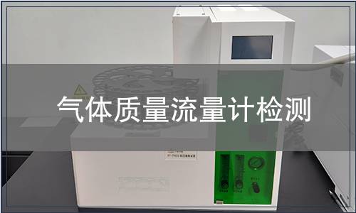 气体质量流量计检测