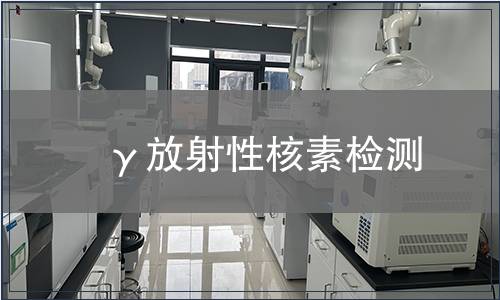 γ放射性核素检测