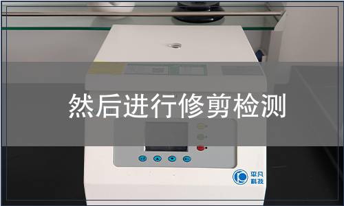 然后进行修剪检测