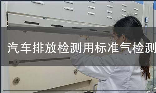 汽车排放检测用标准气检测