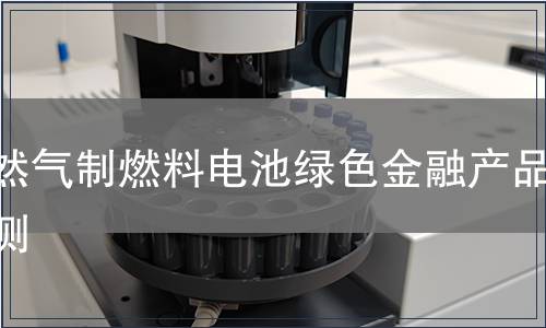 天然气制燃料电池绿色金融产品检测