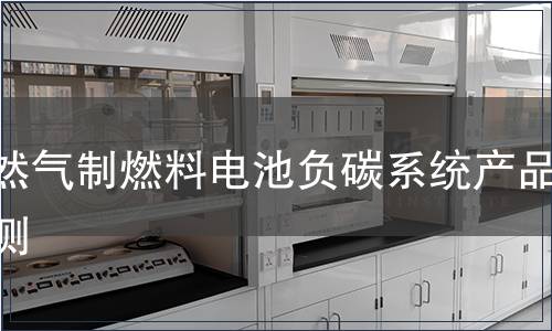 天然气制燃料电池负碳系统产品检测