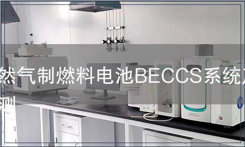 天然气制燃料电池BECCS系统产品检测