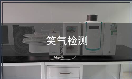 笑气检测
