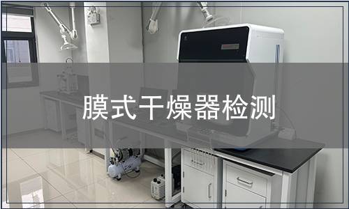 膜式干燥器检测