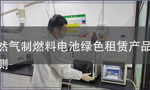 天然气制燃料电池绿色租赁产品检测