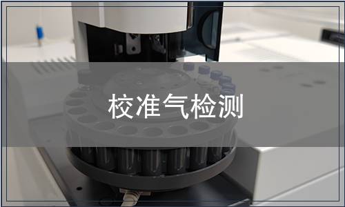校准气检测