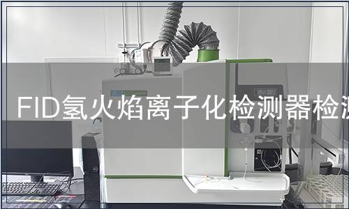 FID氢火焰离子化检测器检测