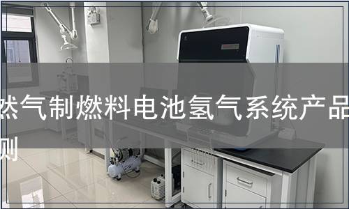 天然气制燃料电池氢气系统产品检测