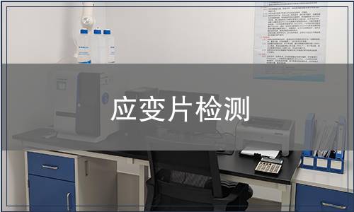 应变片检测