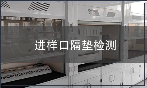 进样口隔垫检测