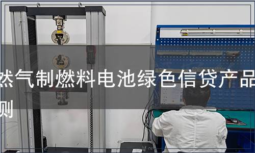 天然气制燃料电池绿色信贷产品检测