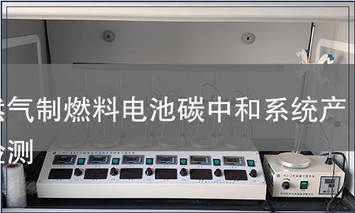 天然气制燃料电池碳中和系统产品检测