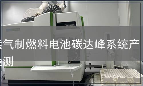 天然气制燃料电池碳达峰系统产品检测