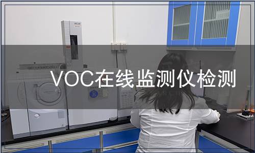 VOC在线监测仪检测