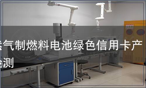天然气制燃料电池绿色信用卡产品检测