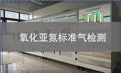 氧化亚氮标准气检测