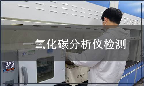 一氧化碳分析仪检测