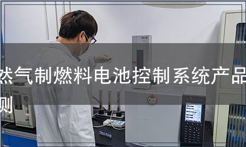 天然气制燃料电池控制系统产品检测