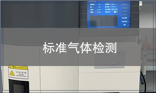标准气体检测