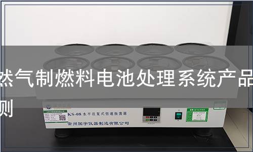 天然气制燃料电池处理系统产品检测