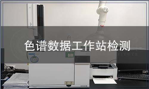 色谱数据工作站检测