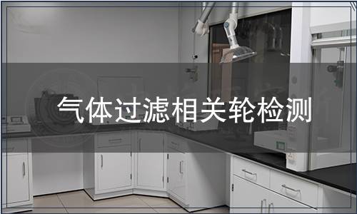 气体过滤相关轮检测