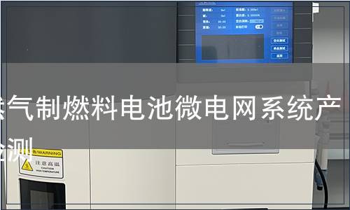 天然气制燃料电池微电网系统产品检测