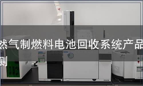 天然气制燃料电池回收系统产品检测
