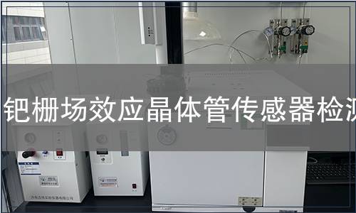 钯栅场效应晶体管传感器检测
