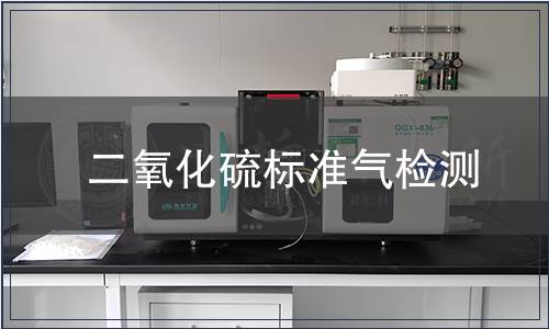 二氧化硫标准气检测