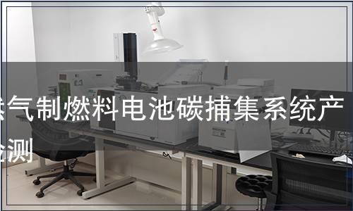 天然气制燃料电池碳捕集系统产品检测