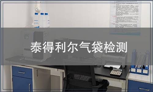 泰得利尔气袋检测