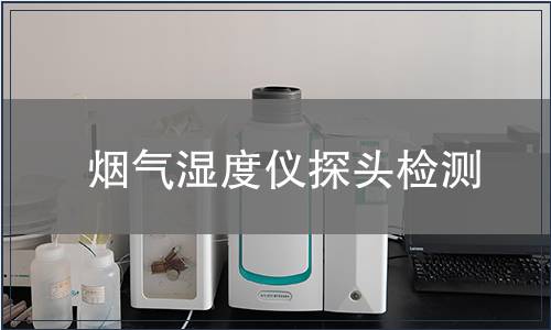 烟气湿度仪探头检测