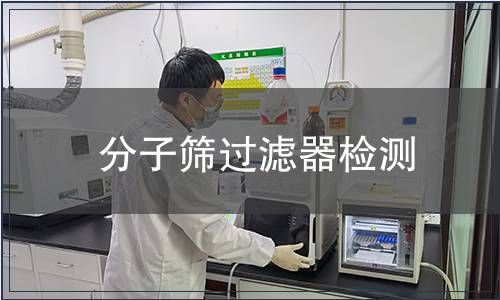 分子筛过滤器检测
