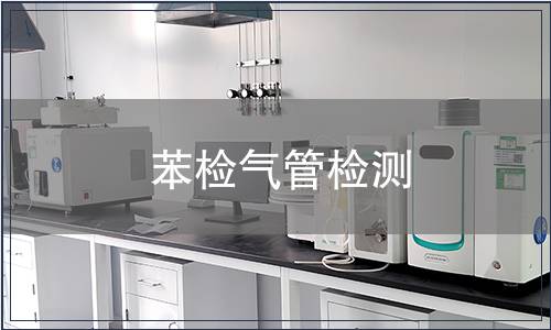 苯检气管检测