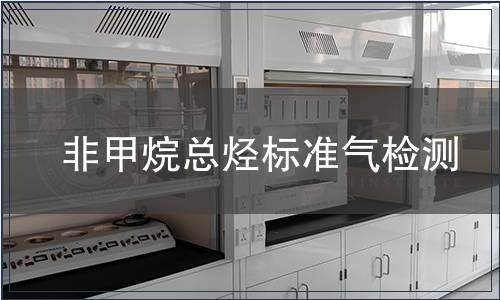 非甲烷总烃标准气检测