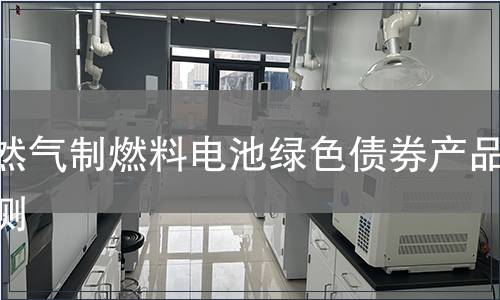 天然气制燃料电池绿色债券产品检测