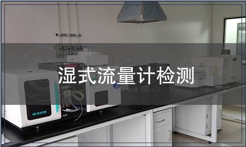 湿式流量计检测