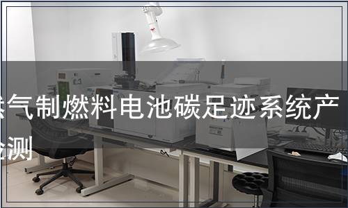 天然气制燃料电池碳足迹系统产品检测