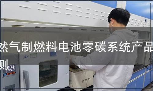 天然气制燃料电池零碳系统产品检测
