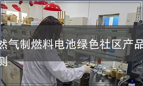 天然气制燃料电池绿色社区产品检测