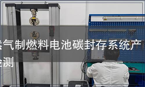 天然气制燃料电池碳封存系统产品检测