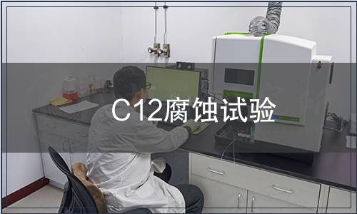 C12腐蚀试验