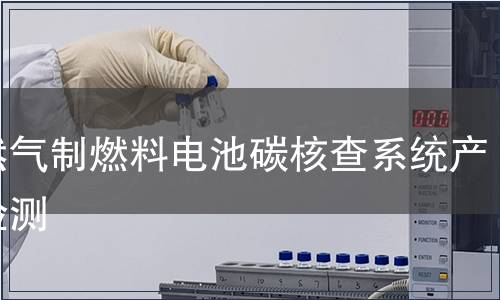 天然气制燃料电池碳核查系统产品检测