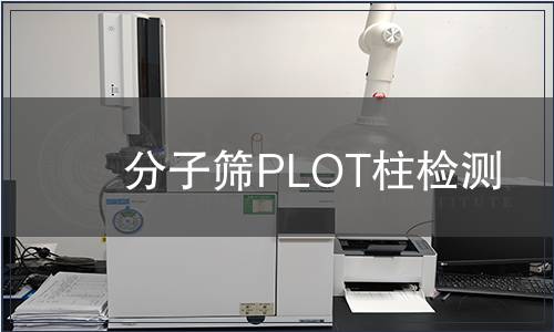 分子筛PLOT柱检测